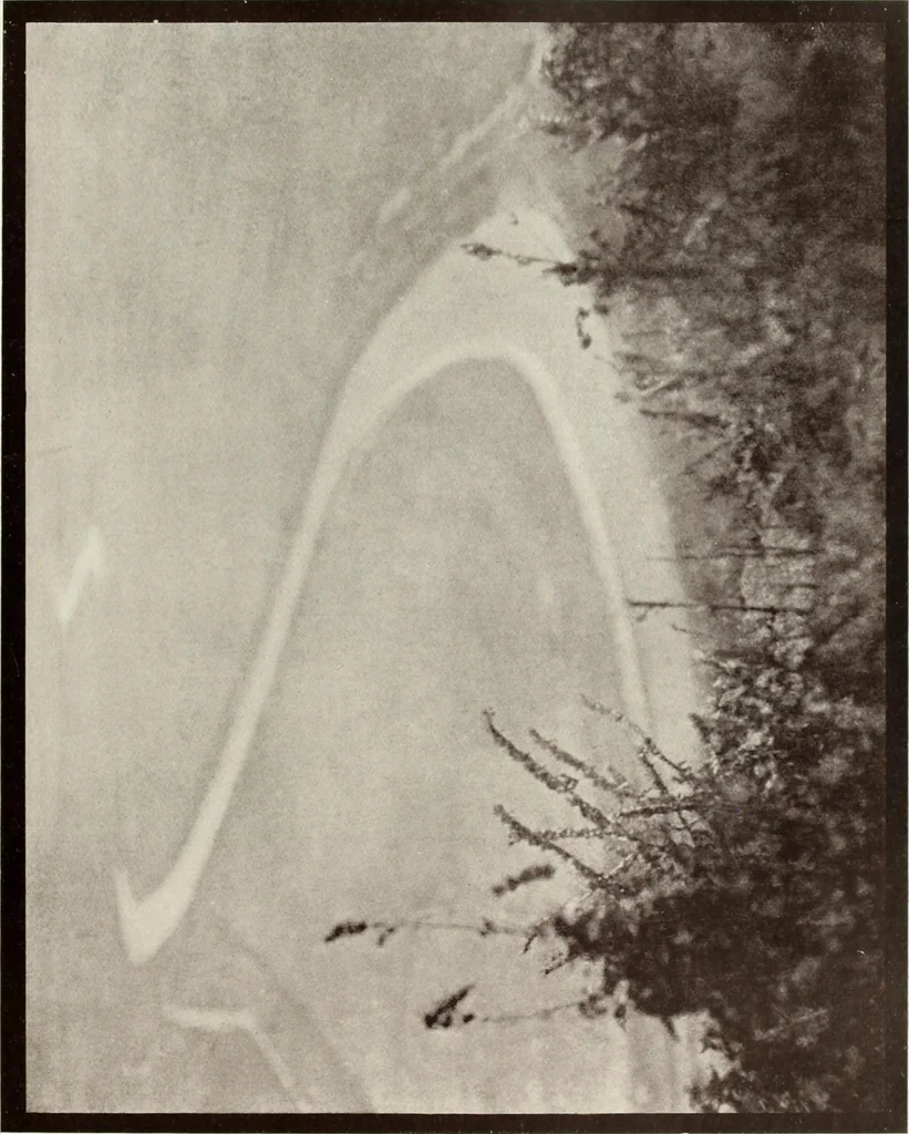 An illustration from Colour photography : and other recent developments of the art of the camera, 1908, leaf 46