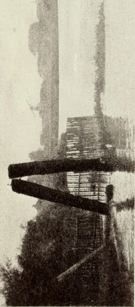 An illustration from Colour photography : and other recent developments of the art of the camera, 1908, leaf 74