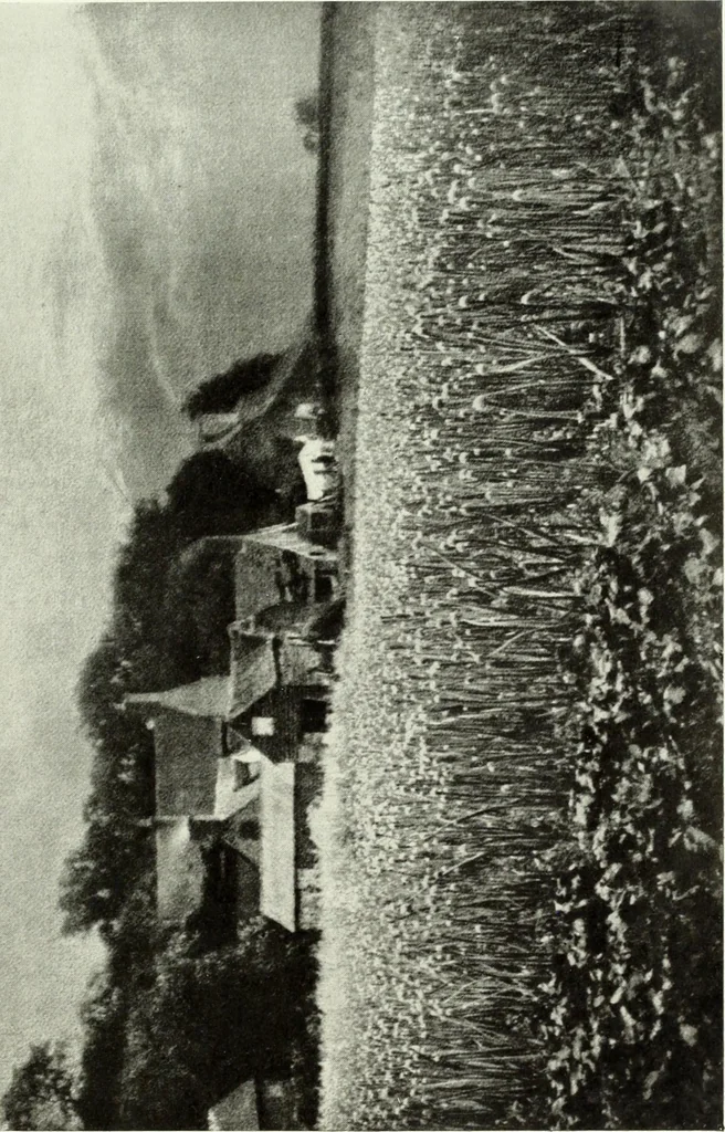 An illustration from Colour photography : and other recent developments of the art of the camera, 1908, leaf 82