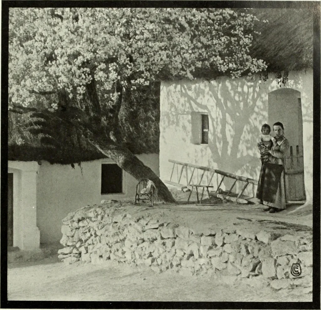 An illustration from Colour photography : and other recent developments of the art of the camera, 1908, leaf 96