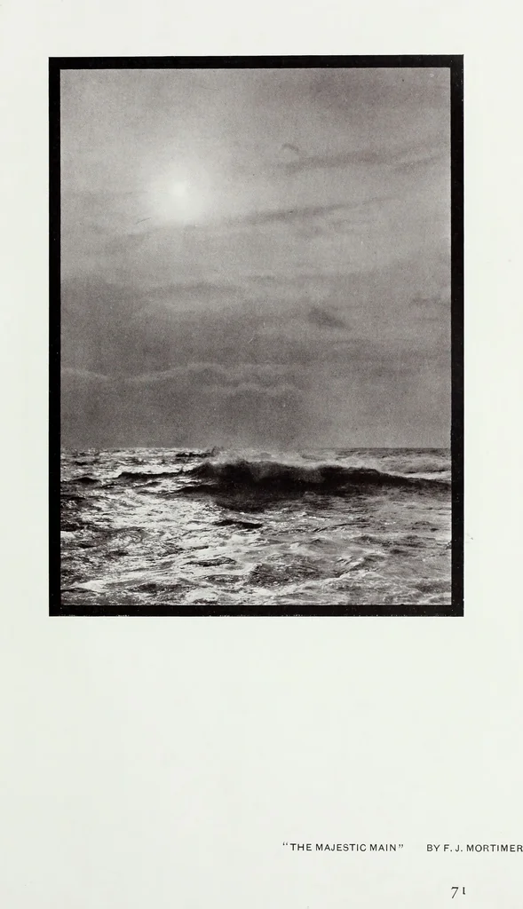 An illustration from Colour photography : and other recent developments of the art of the camera, 1908, leaf 174