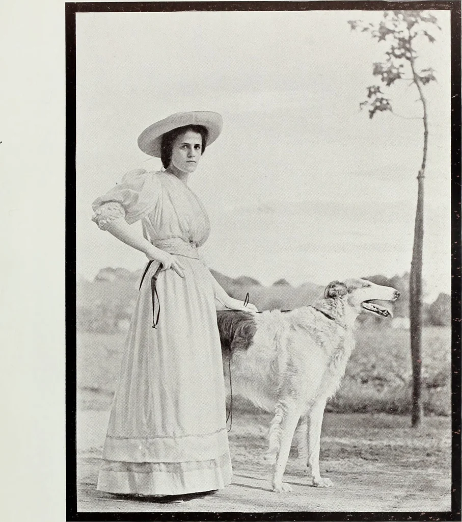 An illustration from Colour photography : and other recent developments of the art of the camera, 1908, leaf 196