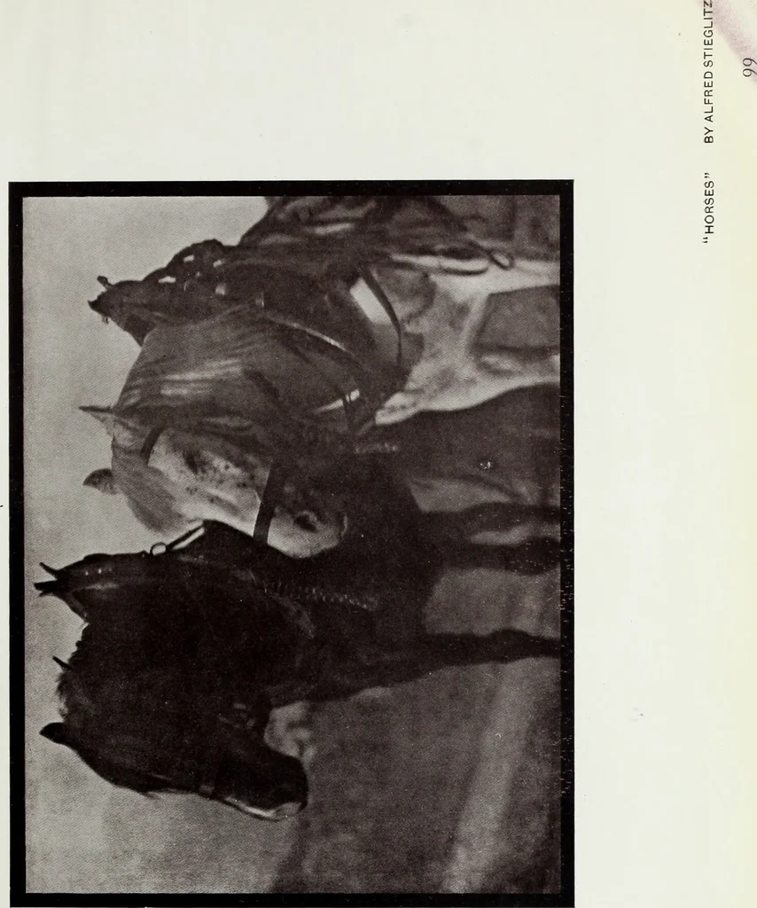 An illustration from Colour photography : and other recent developments of the art of the camera, 1908, leaf 230