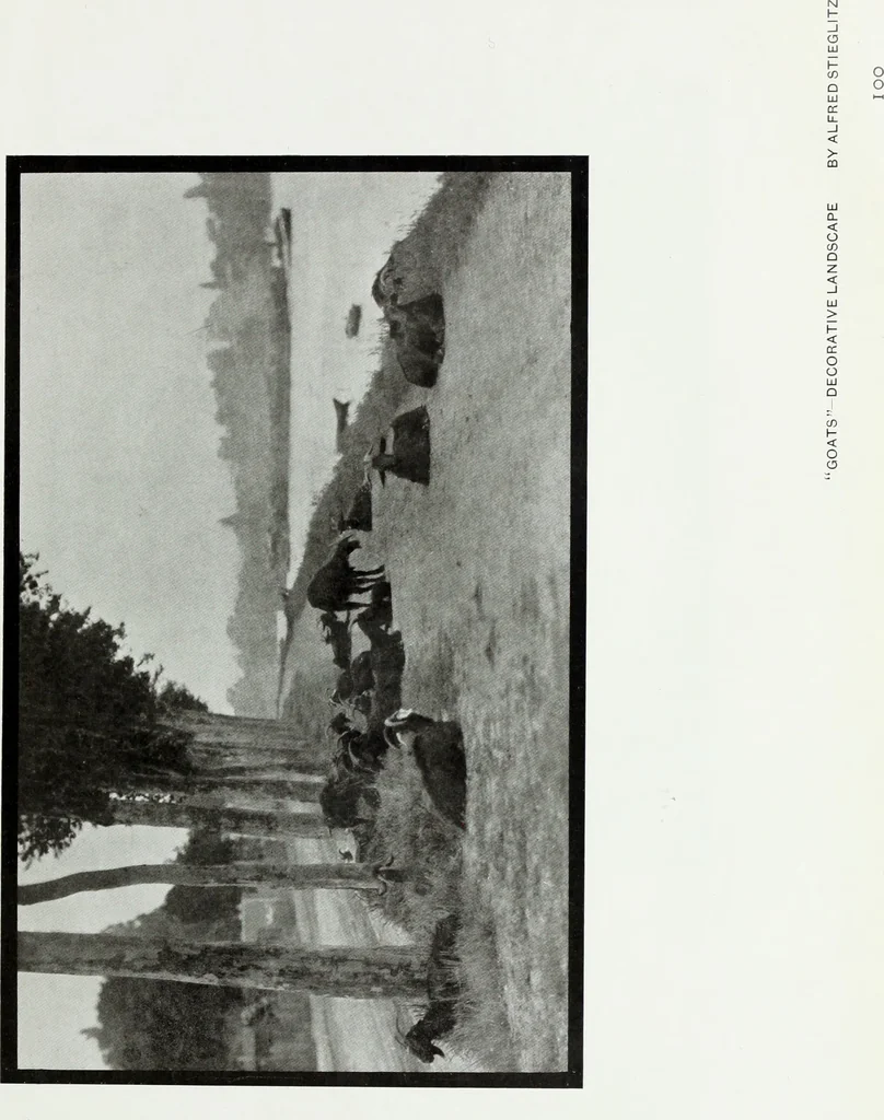 An illustration from Colour photography : and other recent developments of the art of the camera, 1908, leaf 232