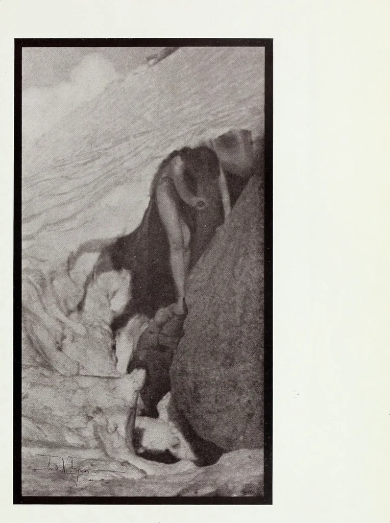 An illustration from Colour photography : and other recent developments of the art of the camera, 1908, leaf 66