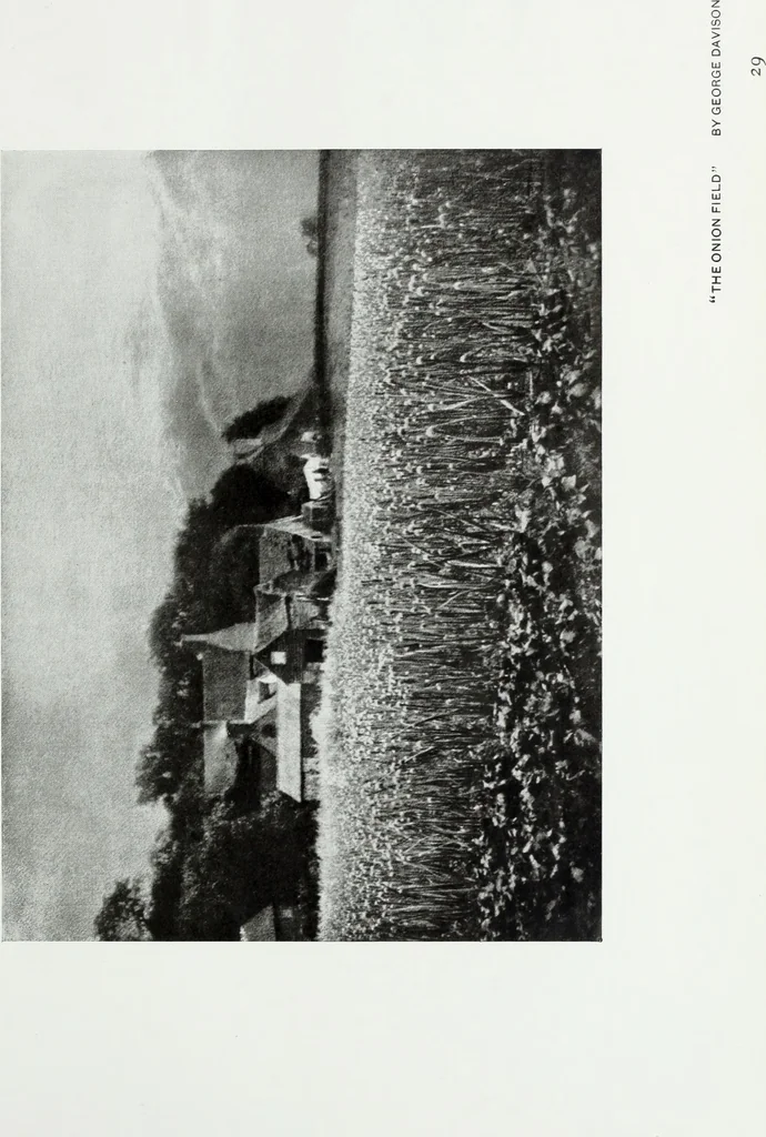 An illustration from Colour photography : and other recent developments of the art of the camera, 1908, leaf 90