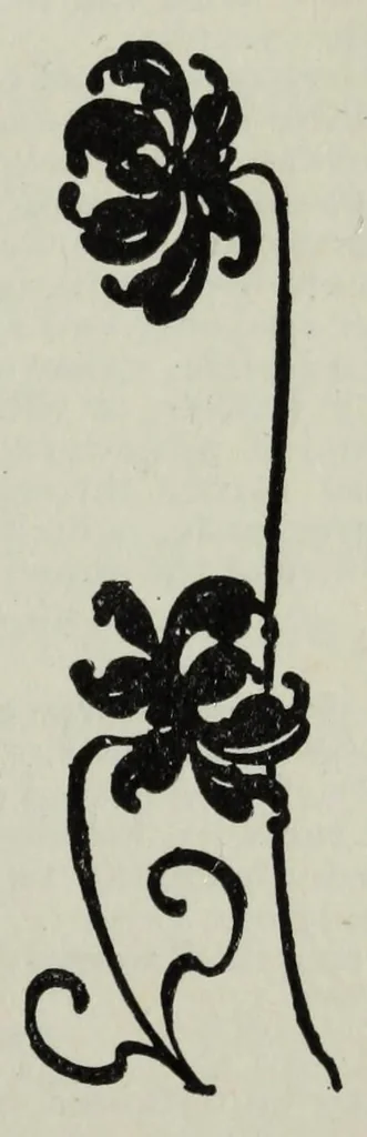 An illustration from Colour photography. A practical treatise for amateurs, 1900, leaf 5