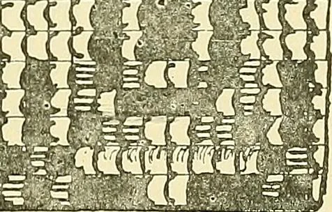 An illustration from The colour printing of carpet yarns; a useful manual for colour-chemists and textile printers, 1900, leaf 106