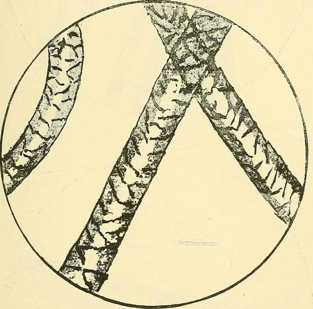 An illustration from The colour printing of carpet yarns; a useful manual for colour-chemists and textile printers, 1900, leaf 126