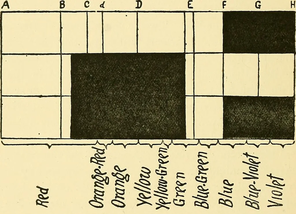 An illustration from The colour printing of carpet yarns; a useful manual for colour-chemists and textile printers, 1900, leaf 77
