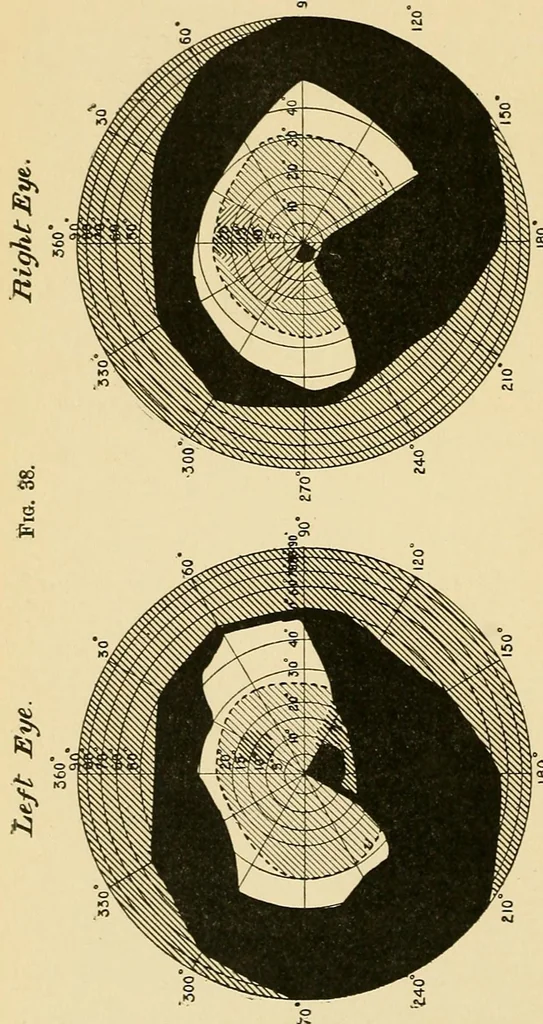 An illustration from Colour vision; being the Tyndall lectures delivered in 1894 at the Royal Institute, 1895, leaf 178