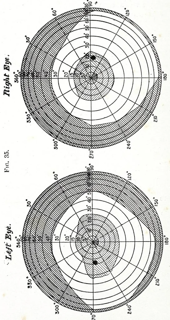 An illustration from Colour vision : being the Tyndall lectures delivered in 1894 at the Royal Institution, 1895, leaf 160