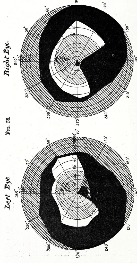 An illustration from Colour vision : being the Tyndall lectures delivered in 1894 at the Royal Institution, 1895, leaf 174