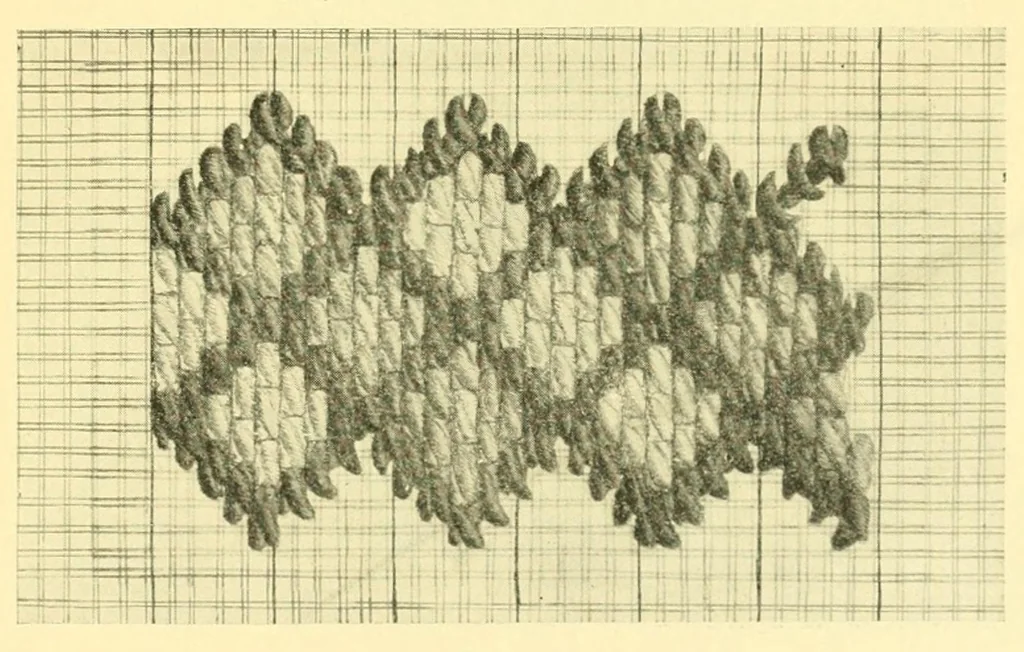 An illustration from The Columbia book of the use of yarns .., 1904, leaf 75