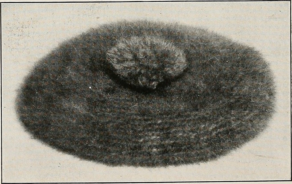 An illustration from The Columbia book of yarns : containing a manual of knitting and crocheting, 1916, leaf 133