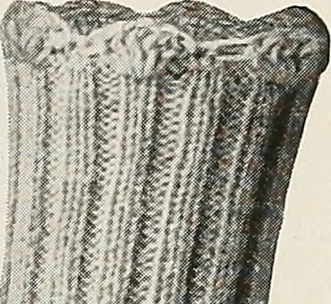 An illustration from The Columbia book of yarns : containing a manual of knitting and crocheting, 1916, leaf 205