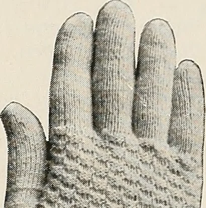 An illustration from The Columbia book of yarns : containing a manual of knitting and crocheting, 1916, leaf 219