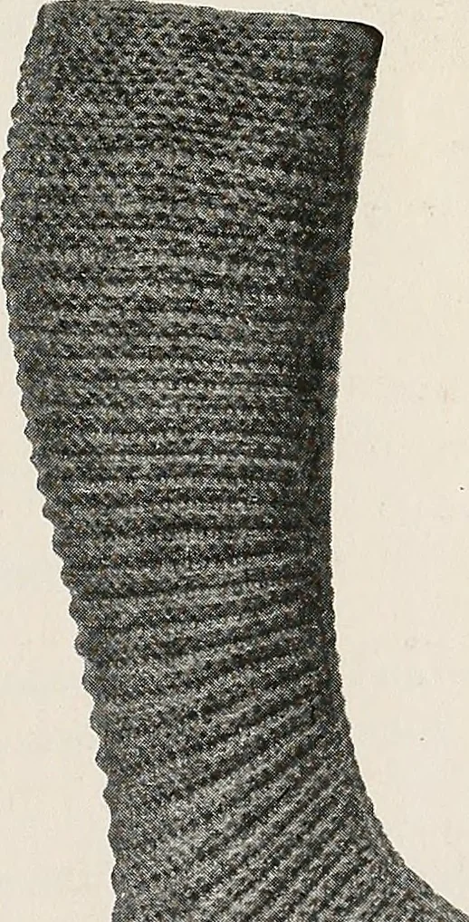 An illustration from The Columbia book of yarns : containing a manual of knitting and crocheting, 1916, leaf 224