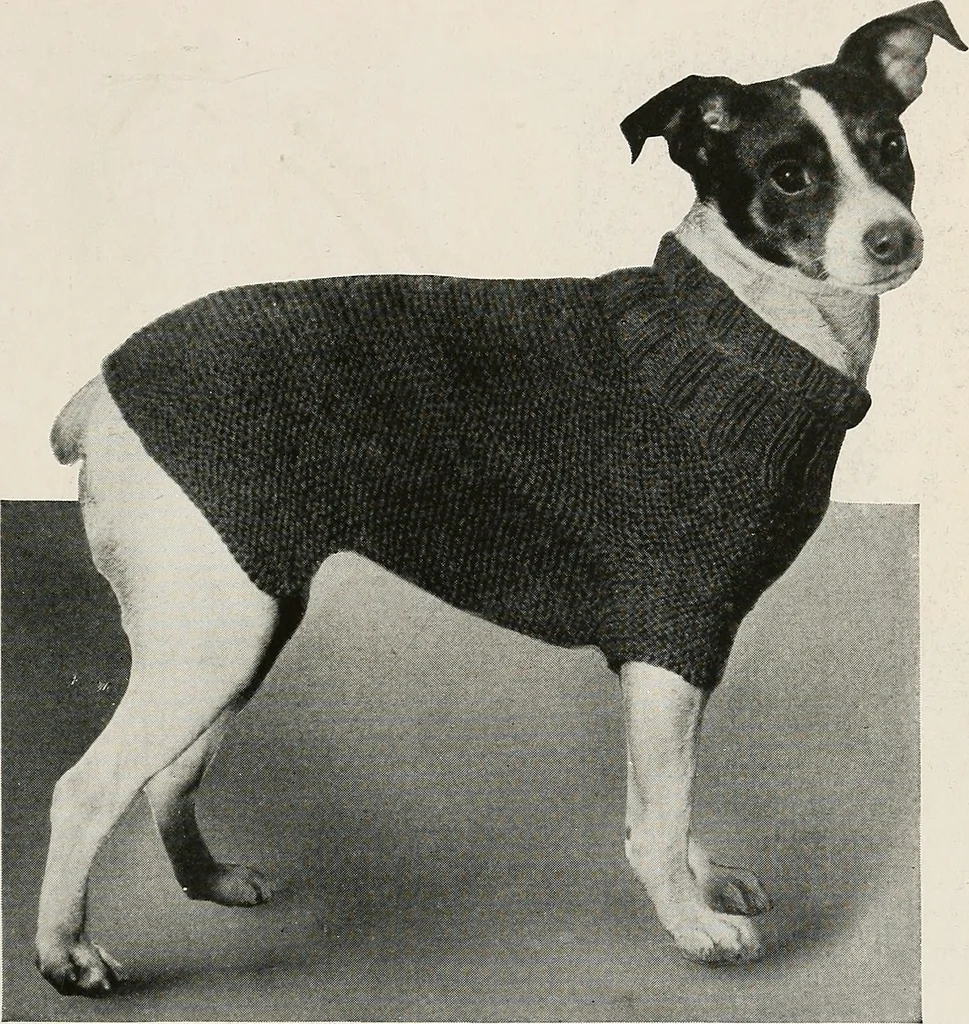 An illustration from The Columbia book of yarns : containing a manual of knitting and crocheting, 1916, leaf 232