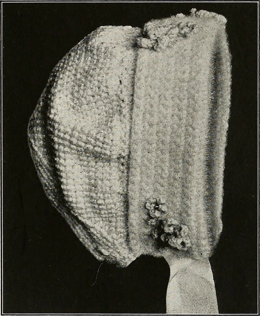An illustration from The Columbia book of yarns : containing a manual of knitting and crocheting, 1916, leaf 24