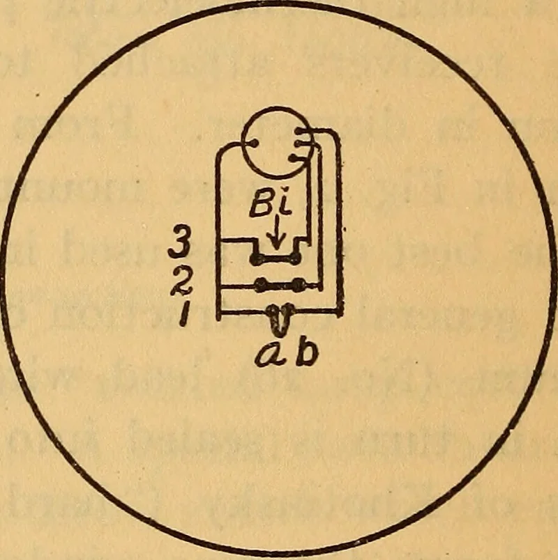 An illustration from A comparison of stellar radiometers and radiometric measurements on 110 stars, 1915, leaf 13