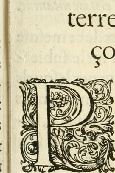 An illustration from Combat d'honneur concerte par les IIII. elemens sur l'heureuse entrée de Madame la duchesse de La Valette en la ville de Metz : ensemble la resiouyssance publicq. concertee par les habitans de la ville, et du pays sur le mesme sujet, 1627, leaf 70