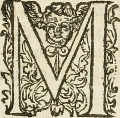 An illustration from Combat d'honneur concerte par les IIII. elemens sur l'heureuse entrée de Madame la duchesse de La Valette en la ville de Metz : ensemble la resiouyssance publicq. concertee par les habitans de la ville, et du pays sur le mesme sujet, 1627, leaf 8