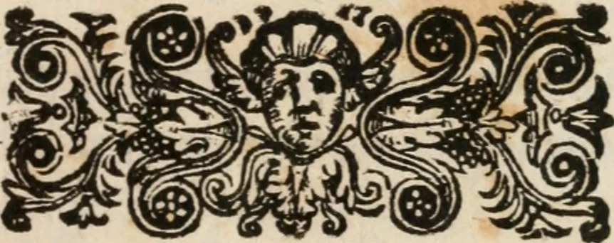 An illustration from Combattimento e balletto a cavallo : rappresentato di notte in Fiorenza à serenissimi arcidvchi, & arcidvchessa d'Avstria Ferdinando Carlo, Anna di Toscana, e Sigismondo Frances[co] : nel teatro contiguo al palazzo del serenissimo gran dvca, 1652, leaf 4