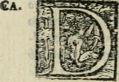 An illustration from Comedia, 1562, leaf 91