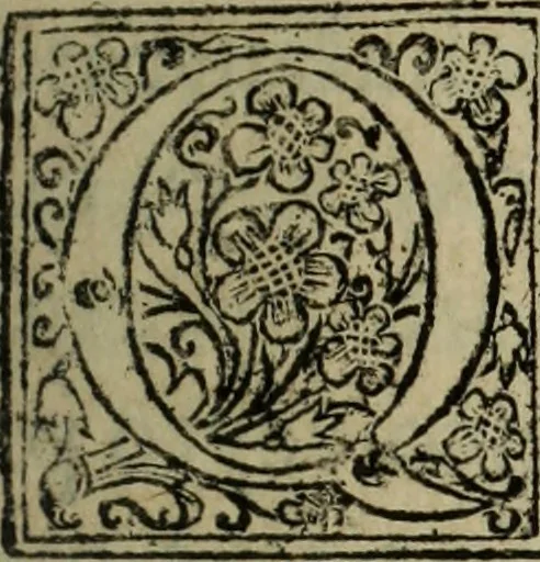 An illustration from Comedia Aulegrafia, 1619, leaf 100