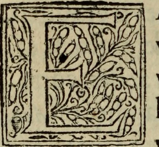 An illustration from Comedia Aulegrafia, 1619, leaf 111