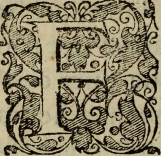 An illustration from Comedia Aulegrafia, 1619, leaf 119