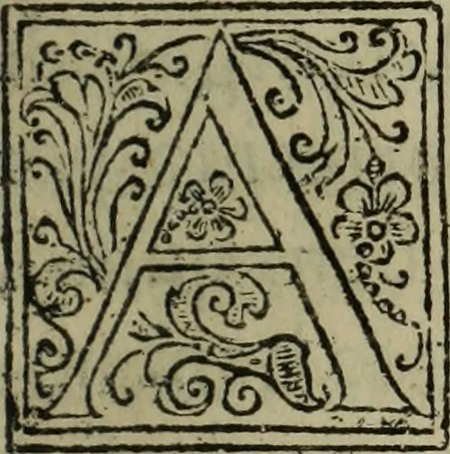 An illustration from Comedia Aulegrafia, 1619, leaf 132