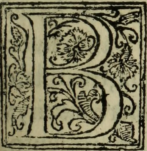 An illustration from Comedia Aulegrafia, 1619, leaf 144