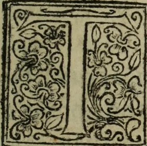 An illustration from Comedia Aulegrafia, 1619, leaf 16