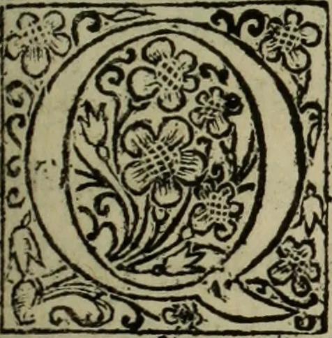 An illustration from Comedia Aulegrafia, 1619, leaf 194
