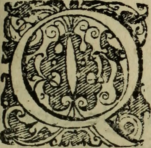 An illustration from Comedia Aulegrafia, 1619, leaf 204