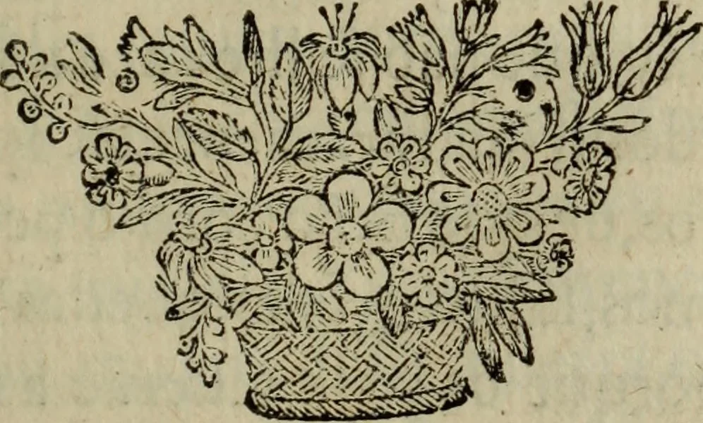 An illustration from Comedia Aulegrafia, 1619, leaf 218