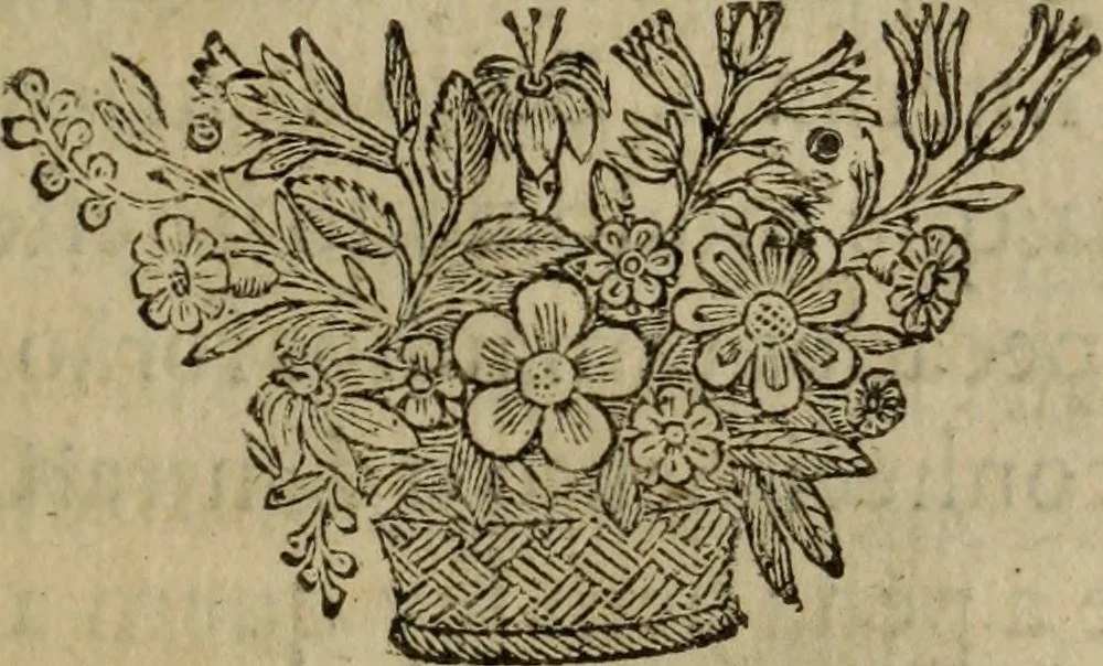 An illustration from Comedia Aulegrafia, 1619, leaf 226