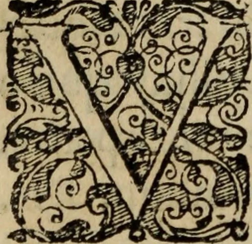 An illustration from Comedia Aulegrafia, 1619, leaf 239