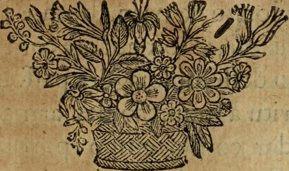 An illustration from Comedia Aulegrafia, 1619, leaf 246