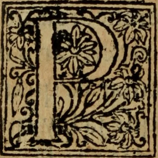 An illustration from Comedia Aulegrafia, 1619, leaf 247