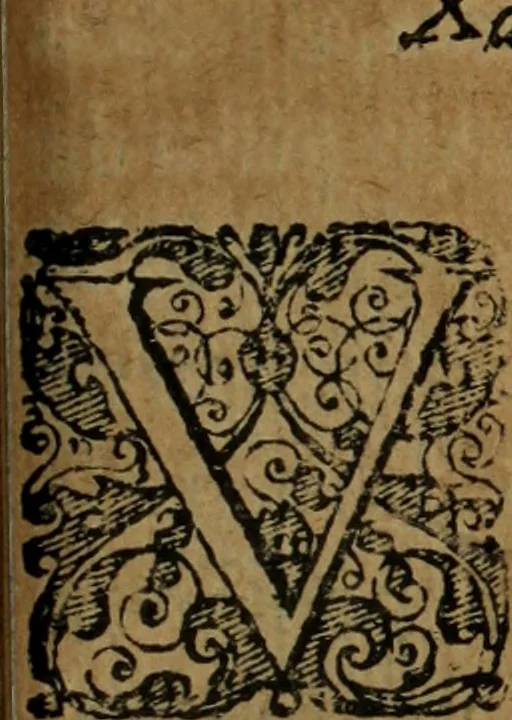 An illustration from Comedia Aulegrafia, 1619, leaf 256