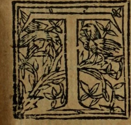 An illustration from Comedia Aulegrafia, 1619, leaf 284