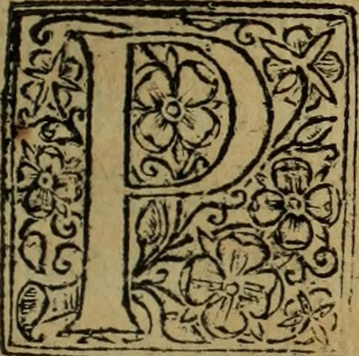 An illustration from Comedia Aulegrafia, 1619, leaf 296
