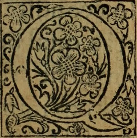 An illustration from Comedia Aulegrafia, 1619, leaf 302