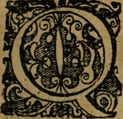 An illustration from Comedia Aulegrafia, 1619, leaf 304