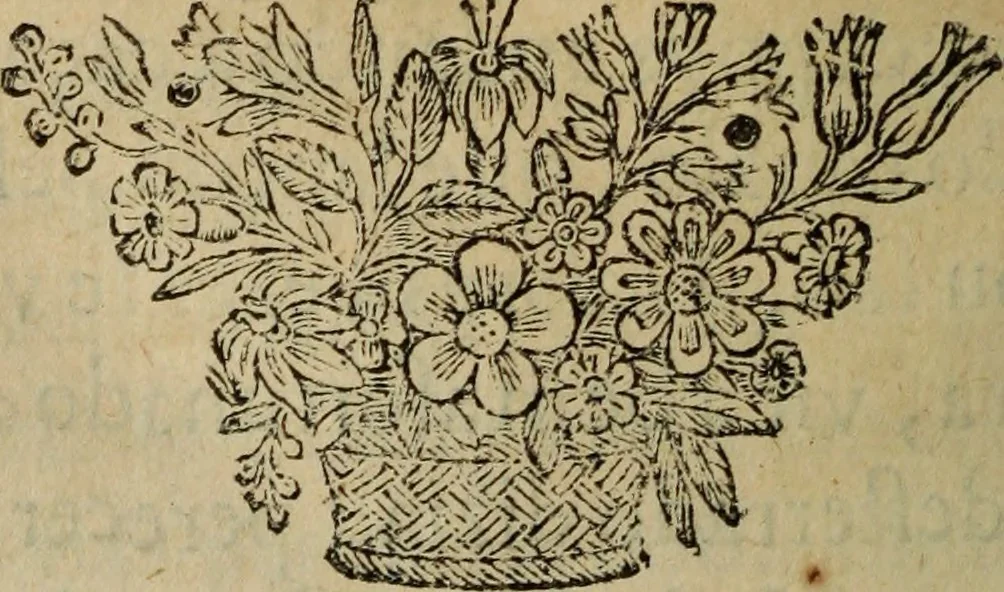 An illustration from Comedia Aulegrafia, 1619, leaf 309