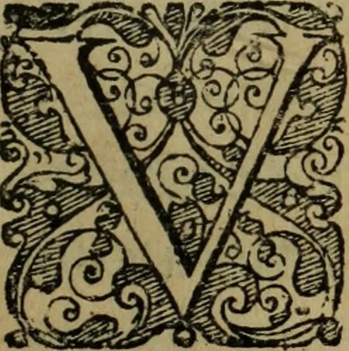 An illustration from Comedia Aulegrafia, 1619, leaf 310