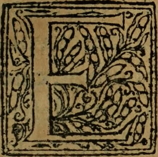An illustration from Comedia Aulegrafia, 1619, leaf 316